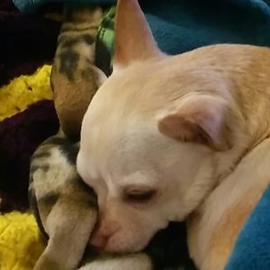 Meet your Posher, Victoria